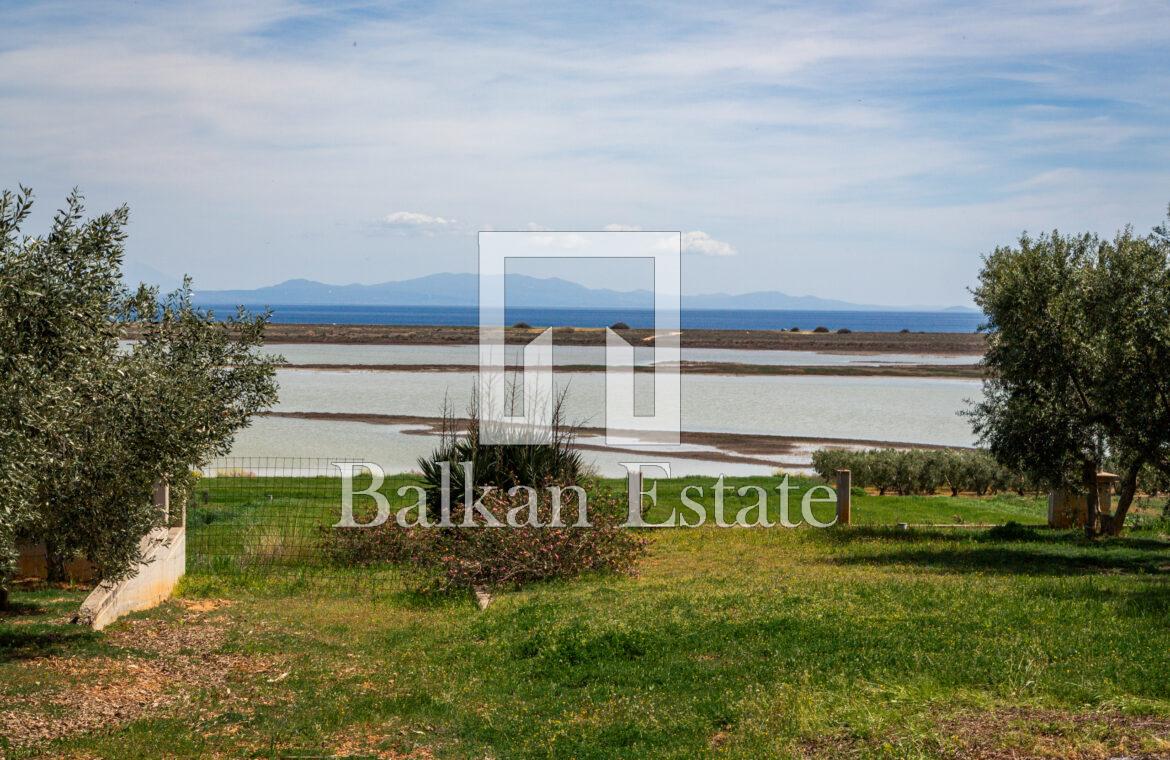 Property Overlooking Natural Lake and Flamingos