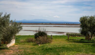 Property Overlooking Natural Lake and Flamingos