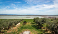 Gebäude mit Blick auf See und Flamingos