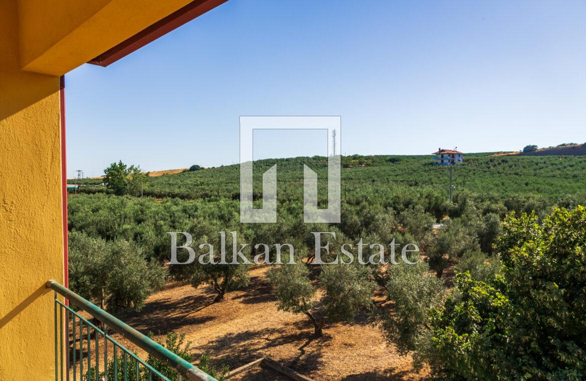 House in Sithonia with Olive Grove