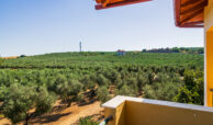 Sithonia House with Olive Trees