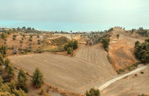 🌿 Prime Development Land in Nea Skioni, Halkidiki – 10,000 m² Plot with 400 m² Build Allowance + Bonus Space